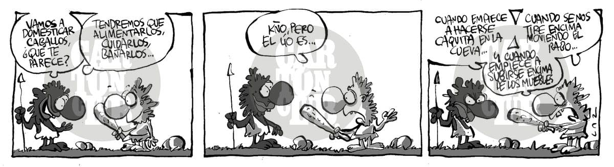 1486164779k2.jpg, cartón de Laz