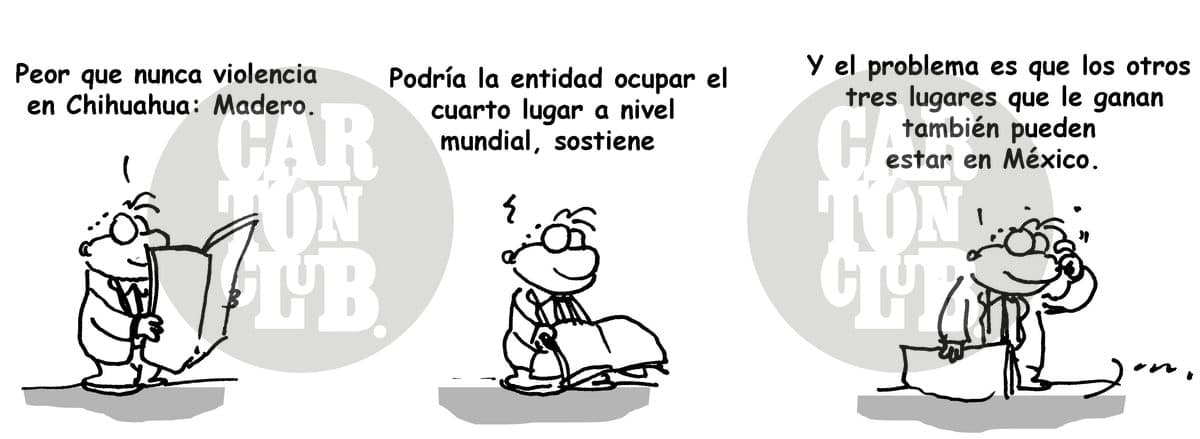 A Chiuahua