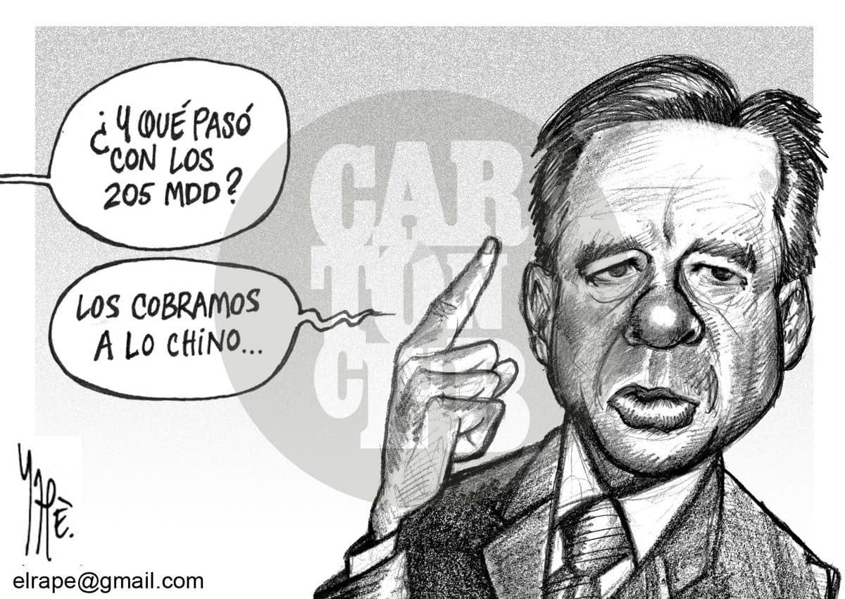 A grandes rasgos