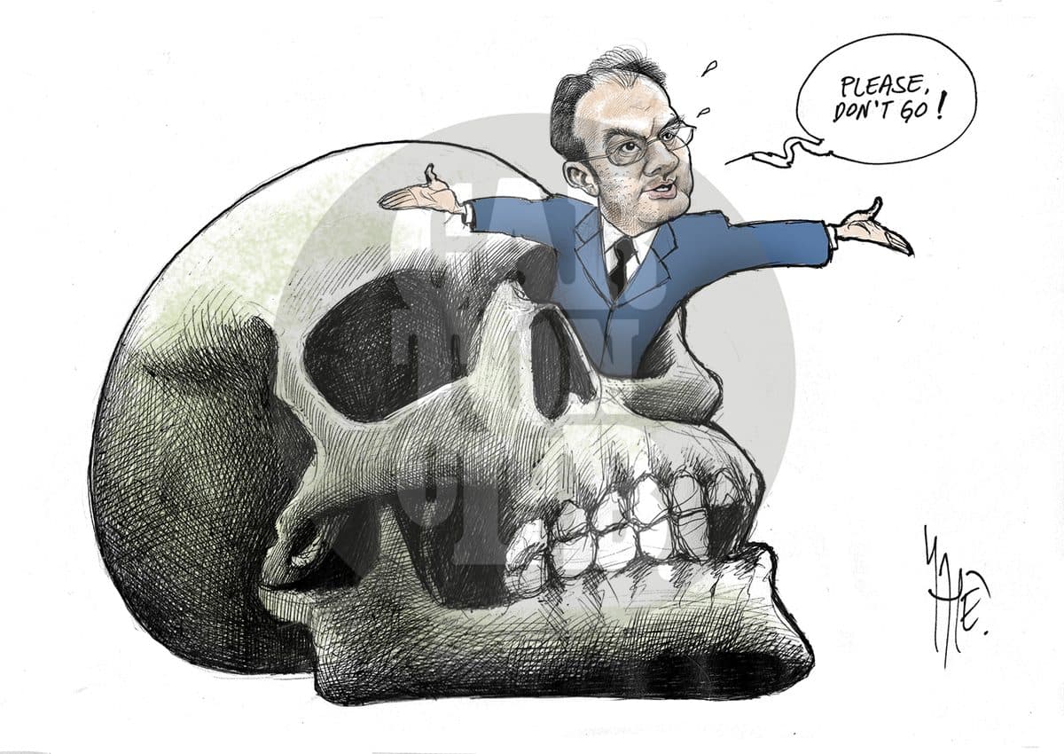 A los inversionistas
