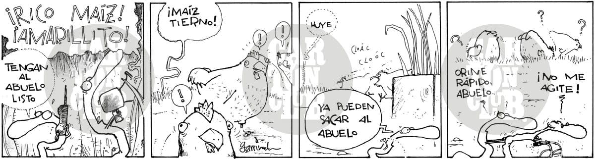 Una familia usa al abuelo cubierto de maíz como señuelo para atraer aves y luego le piden que orine rápido sin moverse, en un chiste de humor negro sobre la vejez.