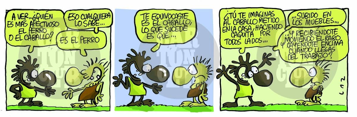 afectuoso, cartón de Laz