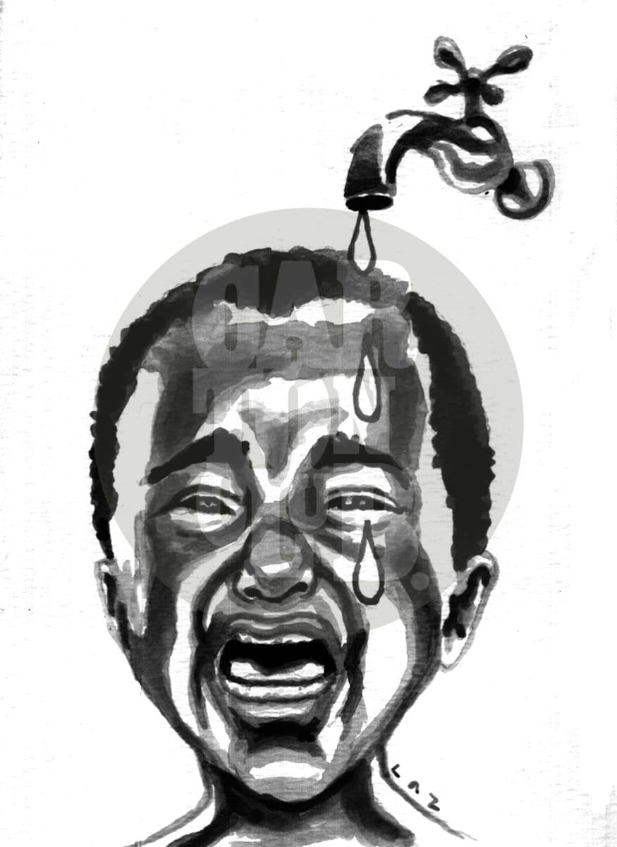 agua, cartón de Laz