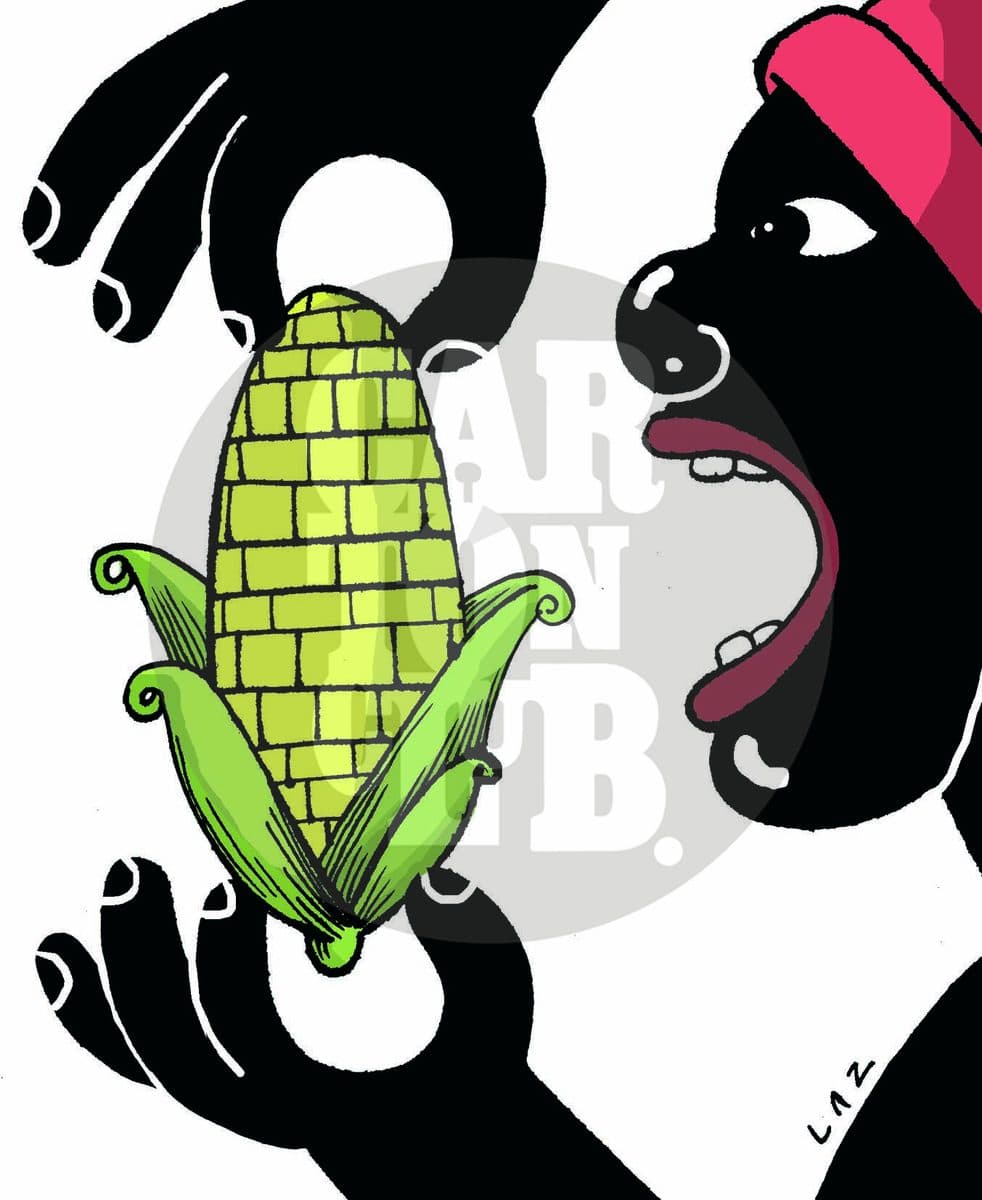 alimentación, cartón de Laz