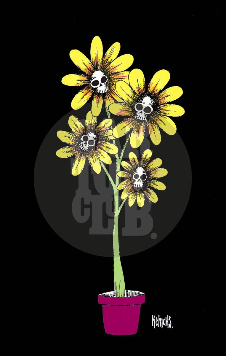 Amapola, cartón de Kemchs