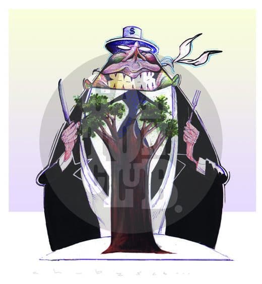 amazonas, cartón de Chubasco
