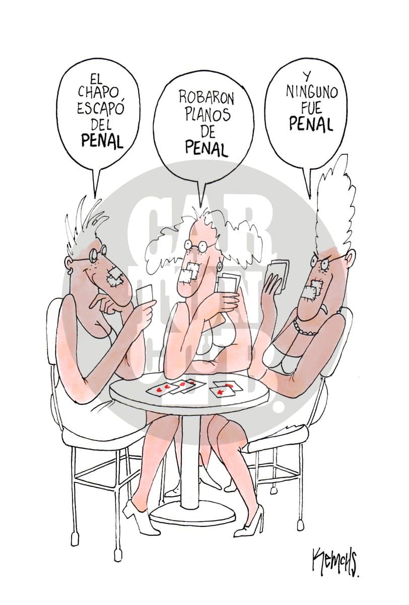 Amplias conocedoras, cartón de Kemchs