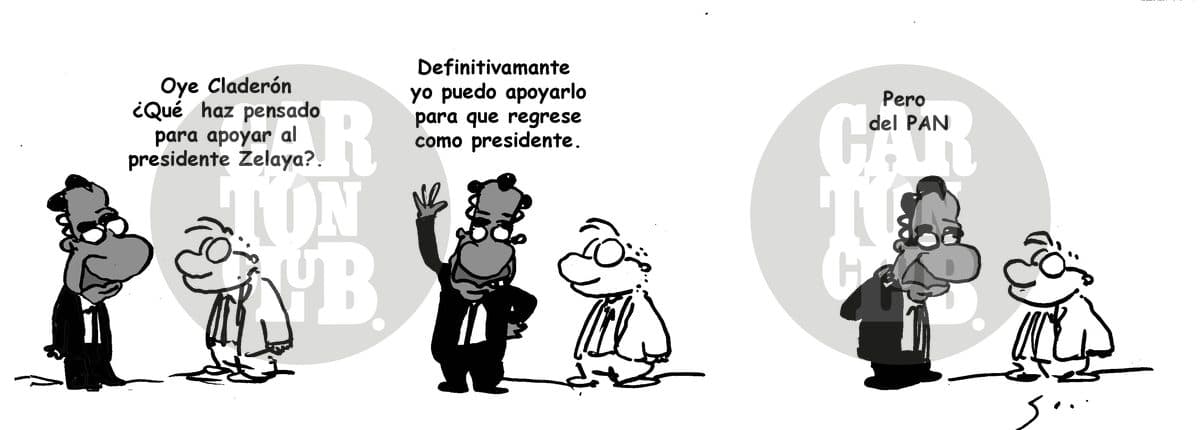 Apoyo Internacional
