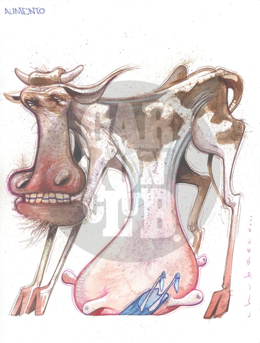Aumento de leche, cartón de Chubasco