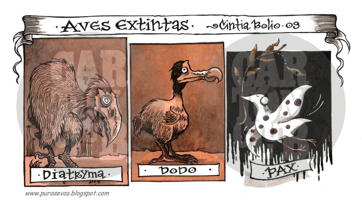 Aves extintas, cartón de Cintia Bolio