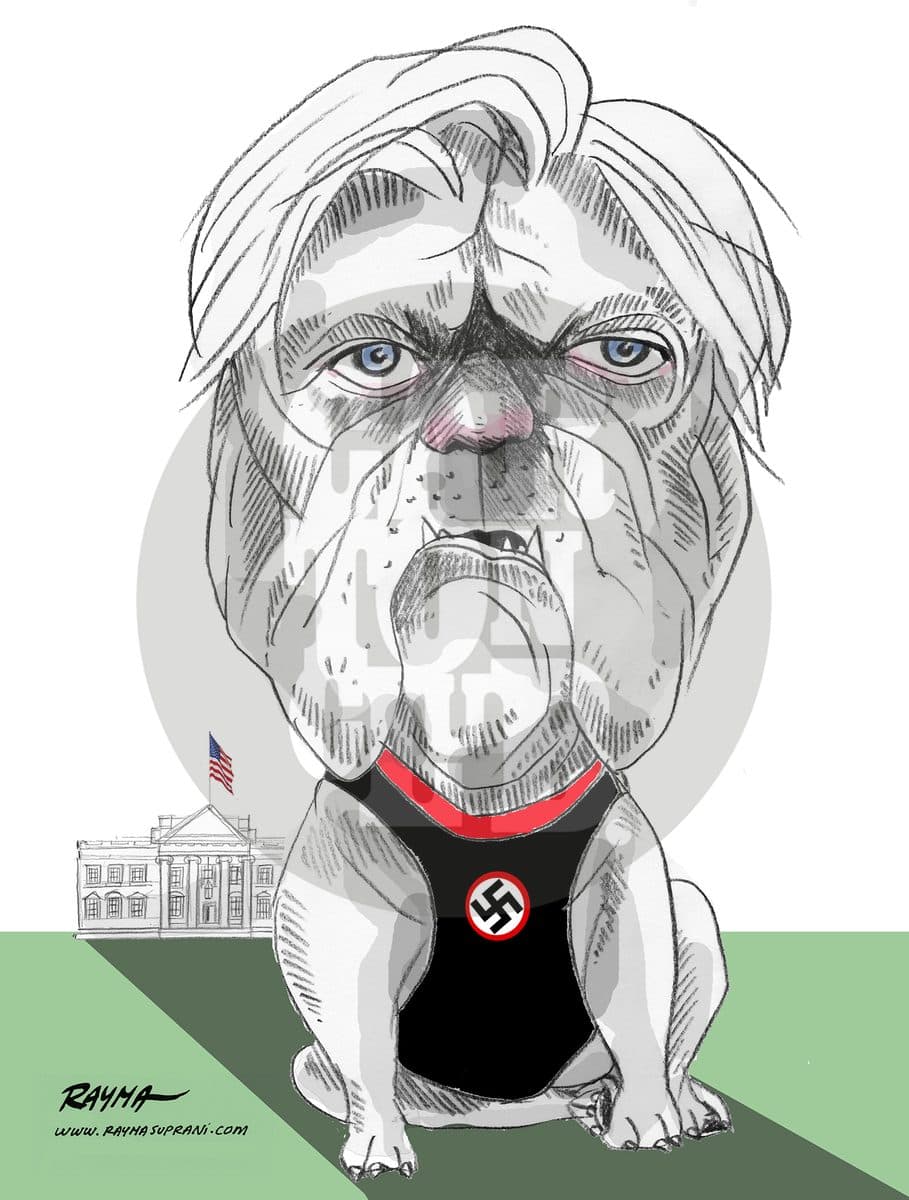 Bannon, cartón de Rayma