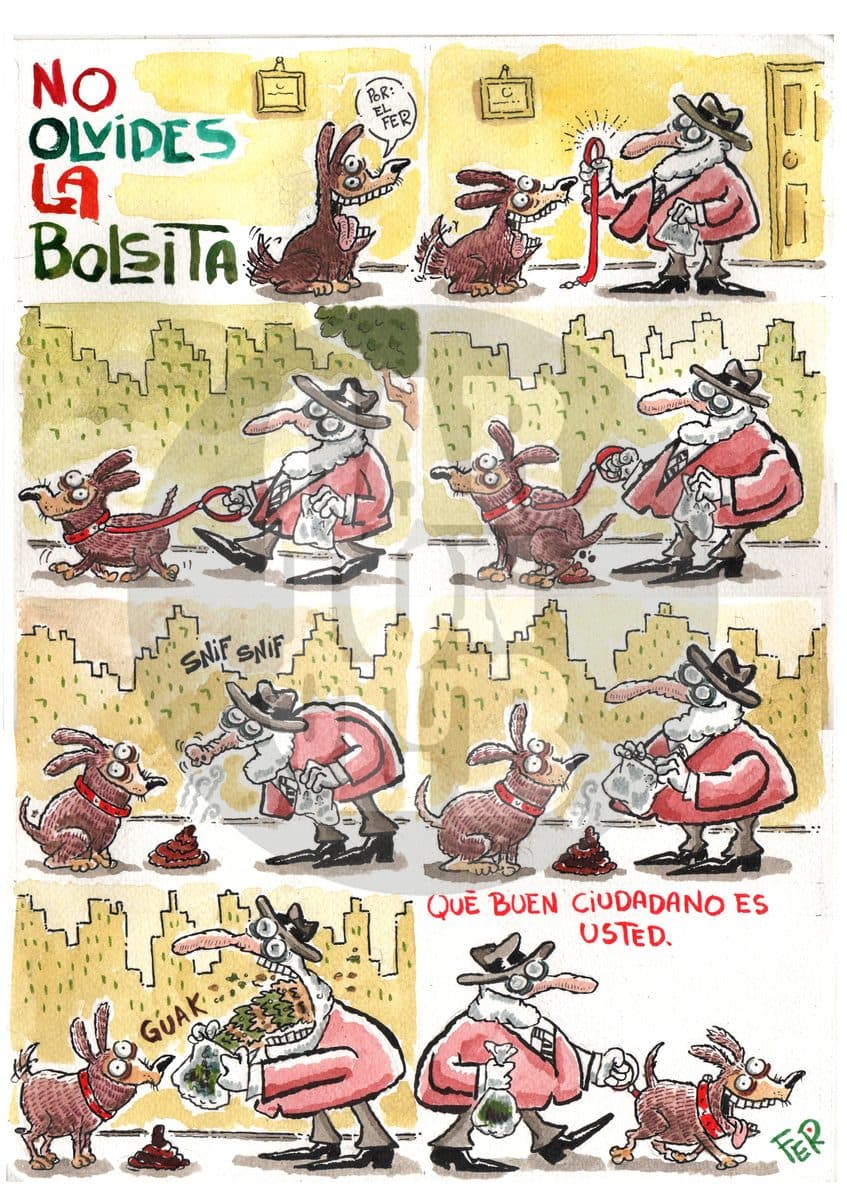 Bolsita