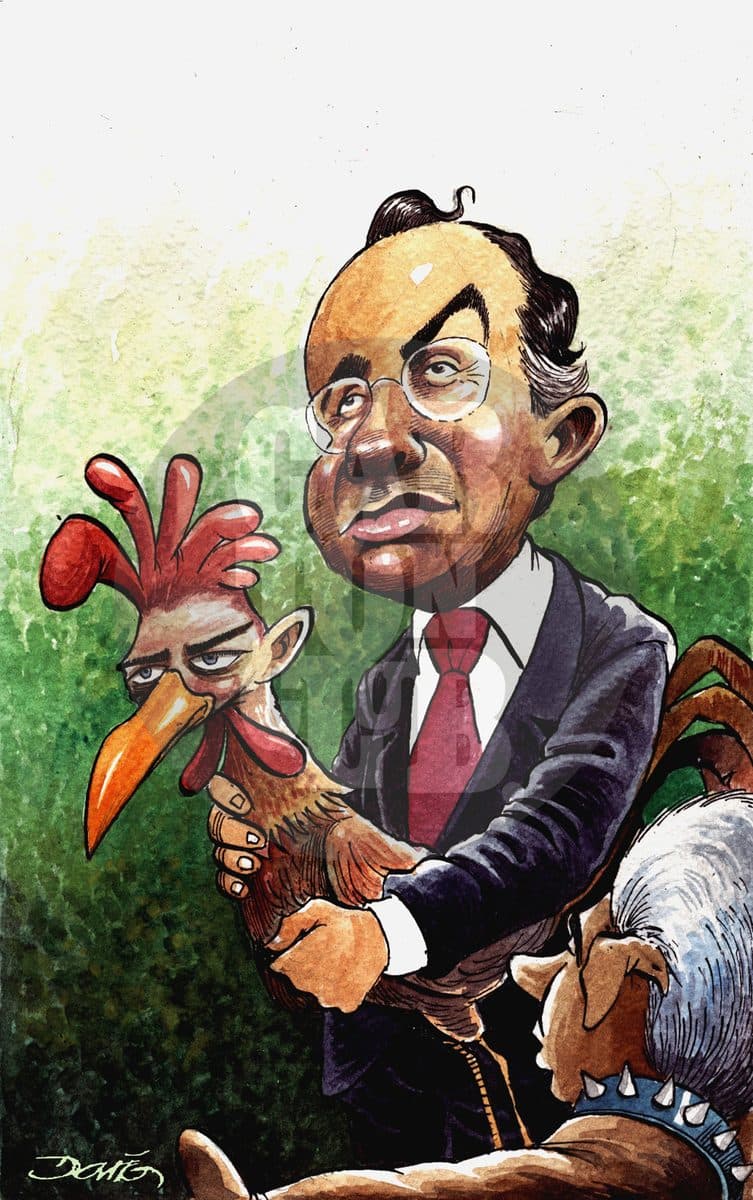 Cambio de guardián