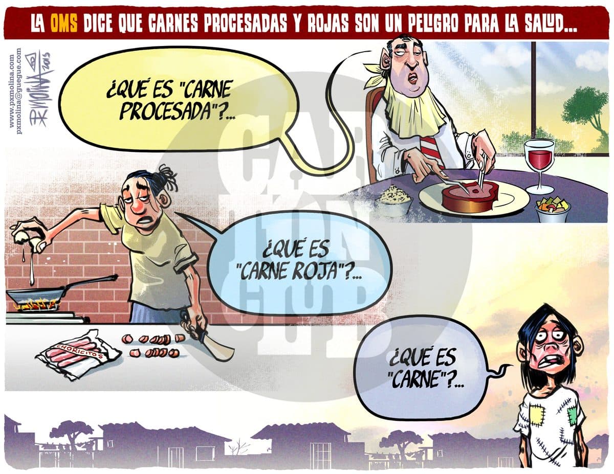 Carnes, cartón de PxMolina