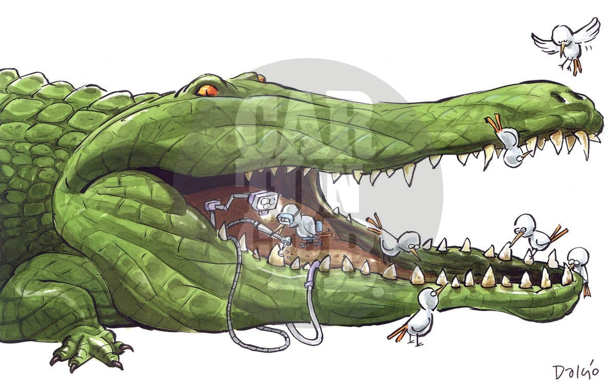 Cocodrilo