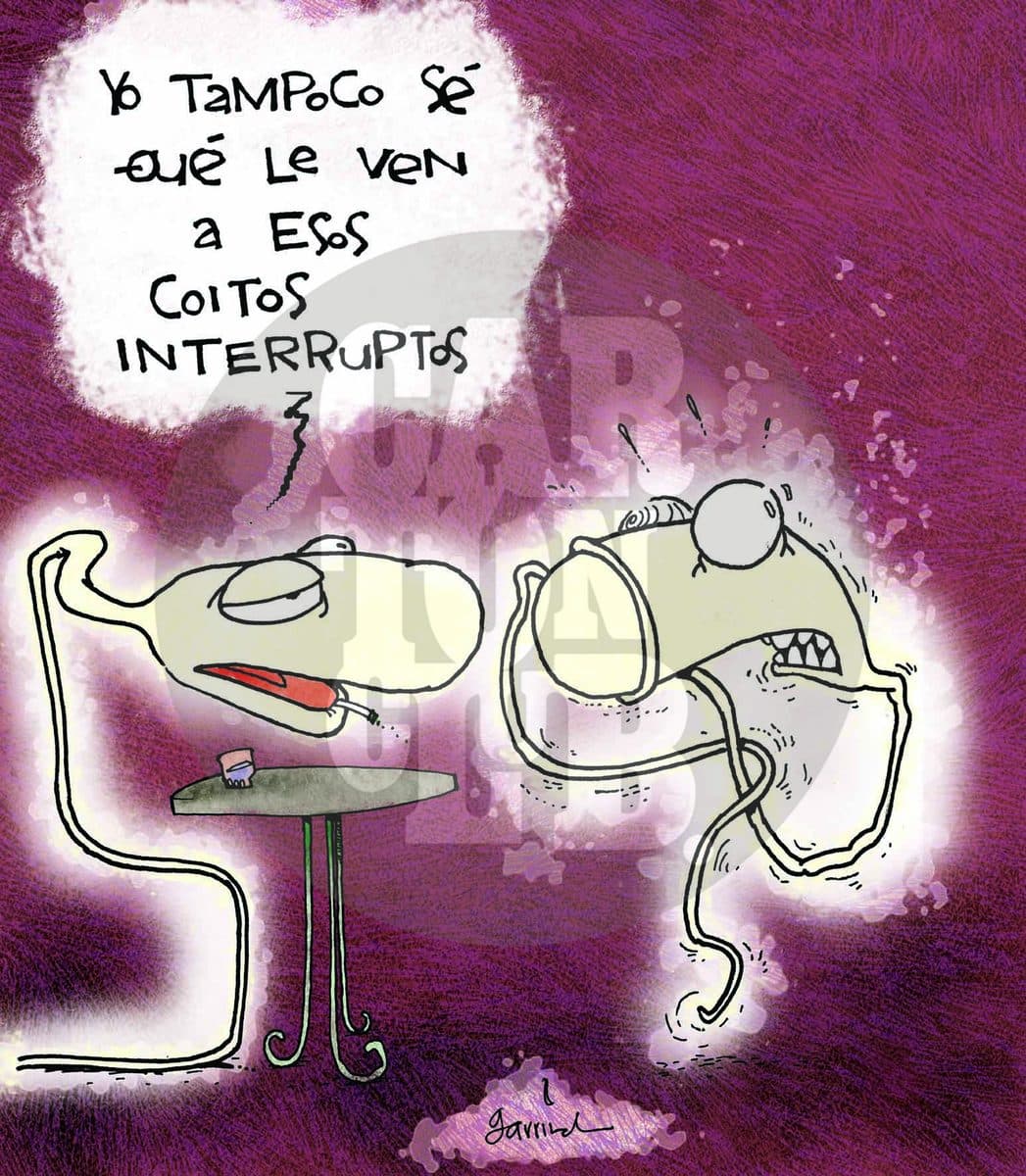 Coito interrupto