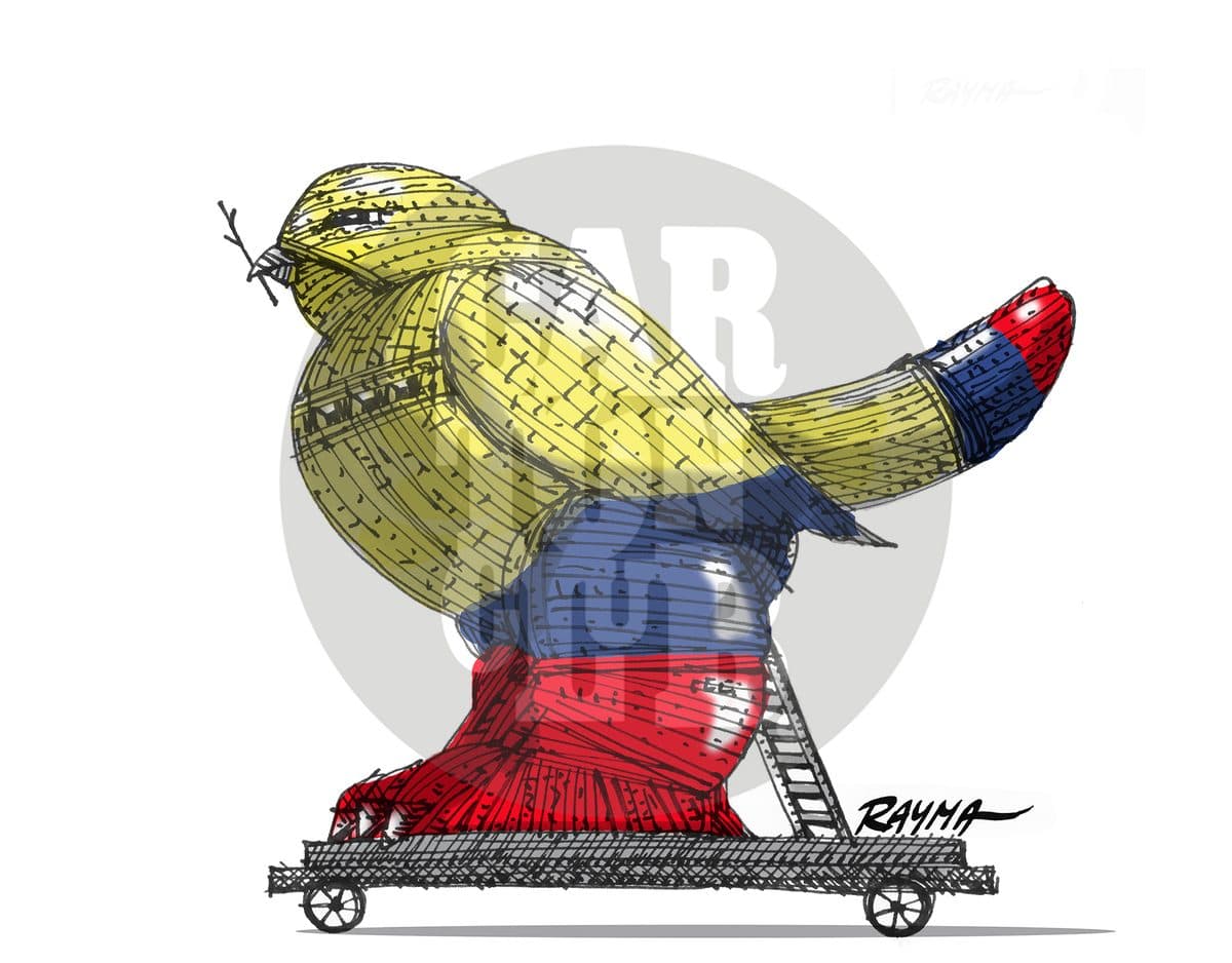 Colombia Peace, cartón de Rayma