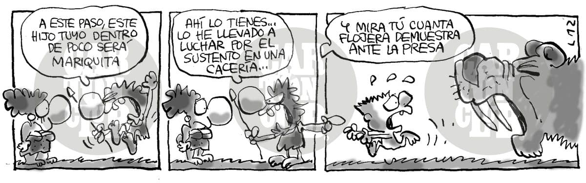 comida