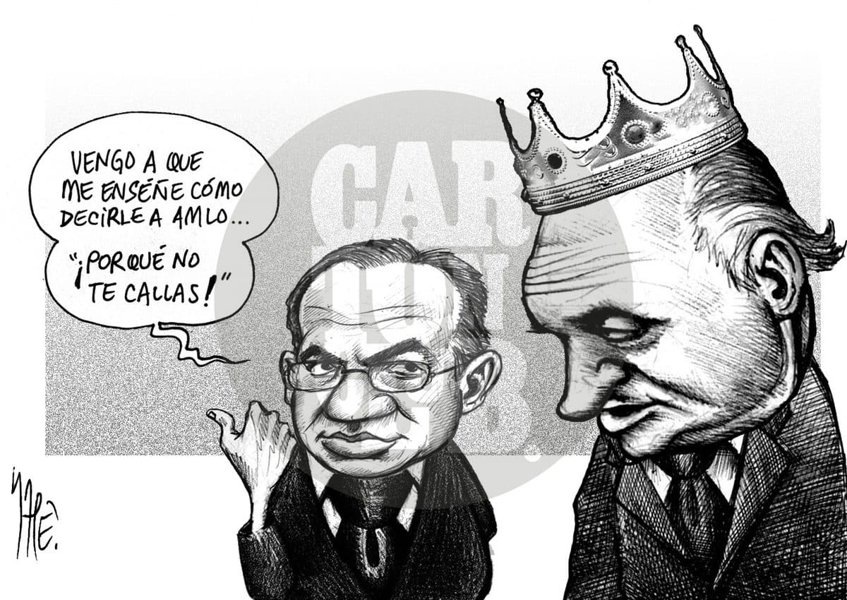 Consultando
