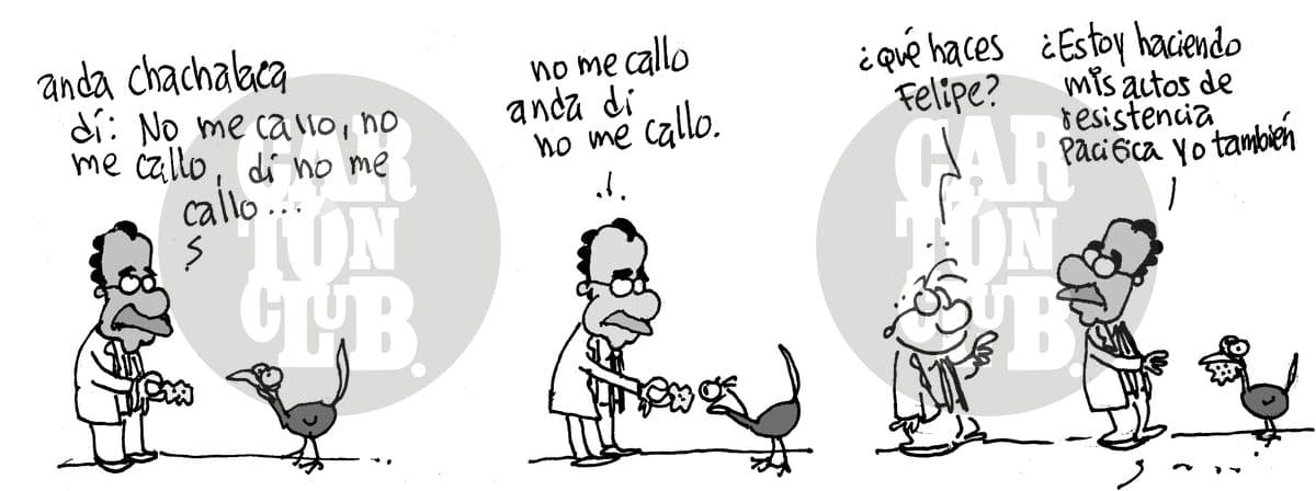 Contra chinga