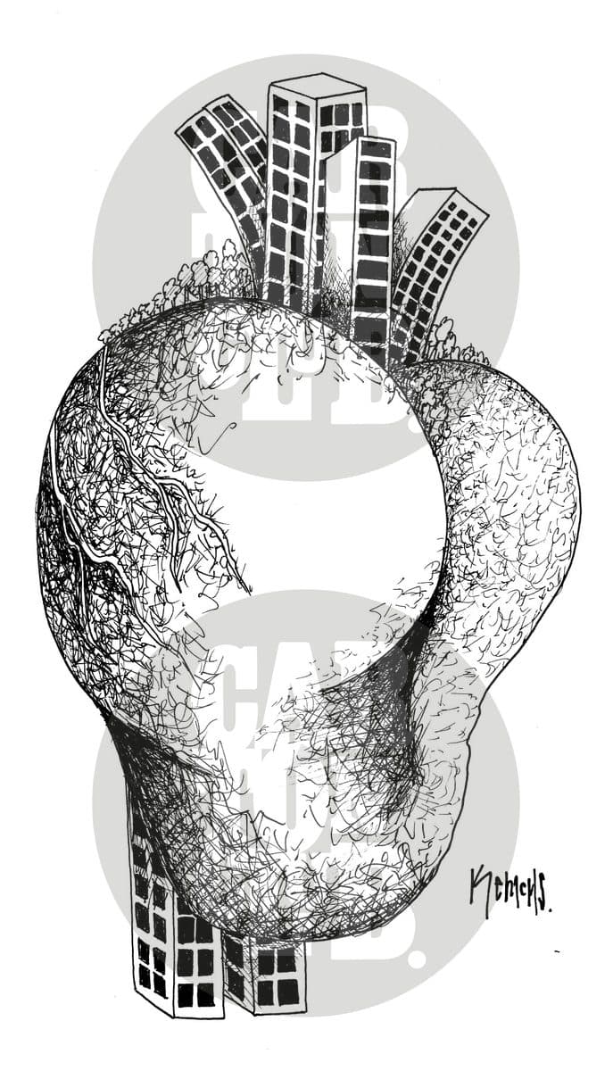Corazón latente, cartón de Kemchs
