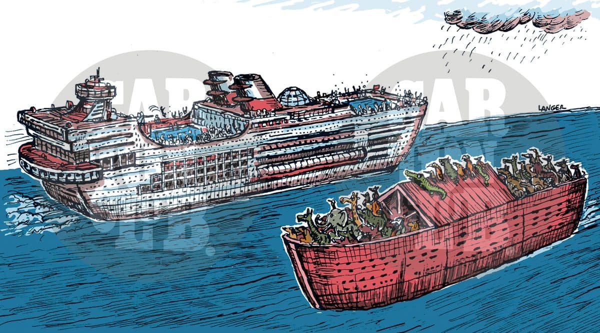 Cruceros