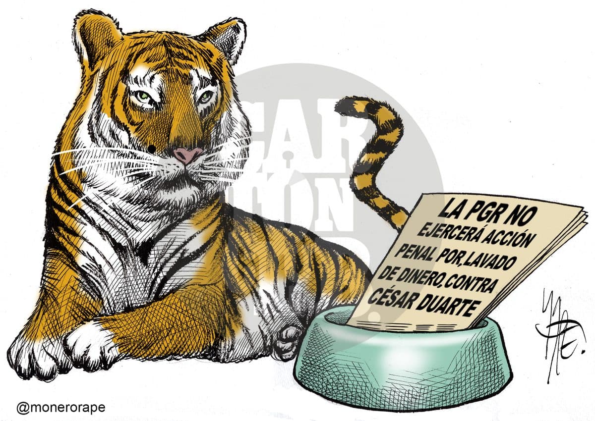 Dándole de comer al tigre