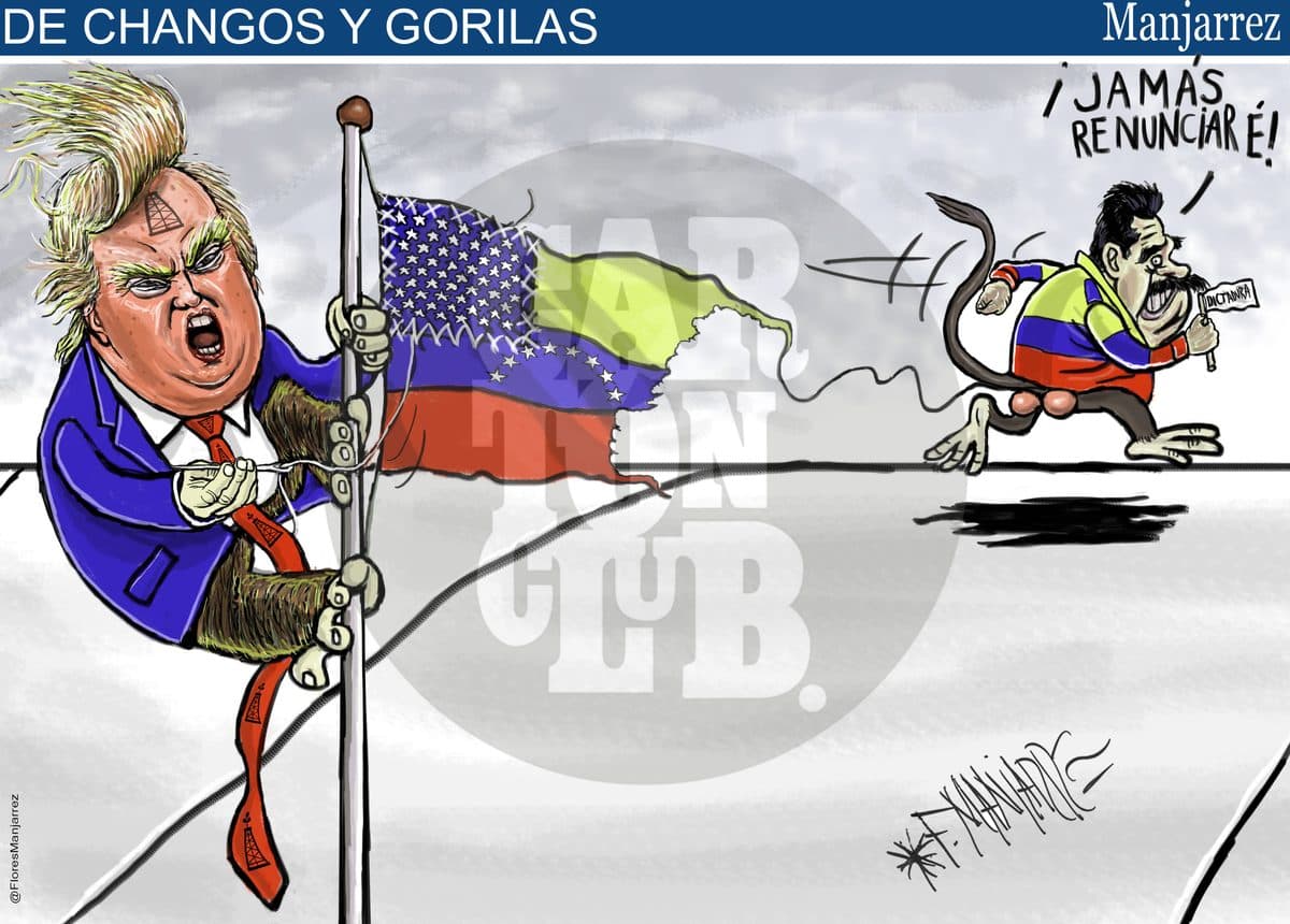 De changos y gorilas