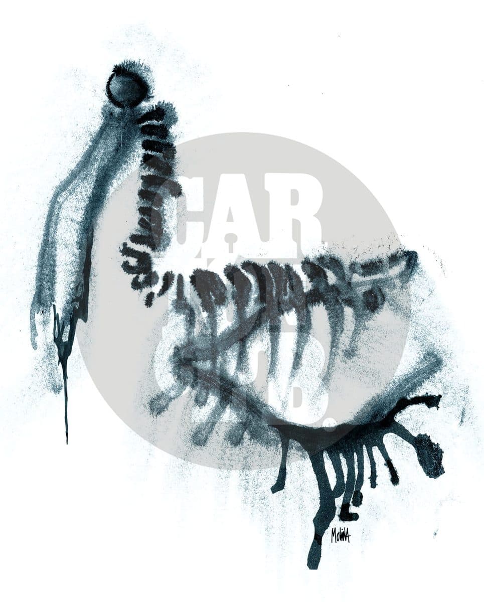 Derrame/Fauna, cartón de PxMolina