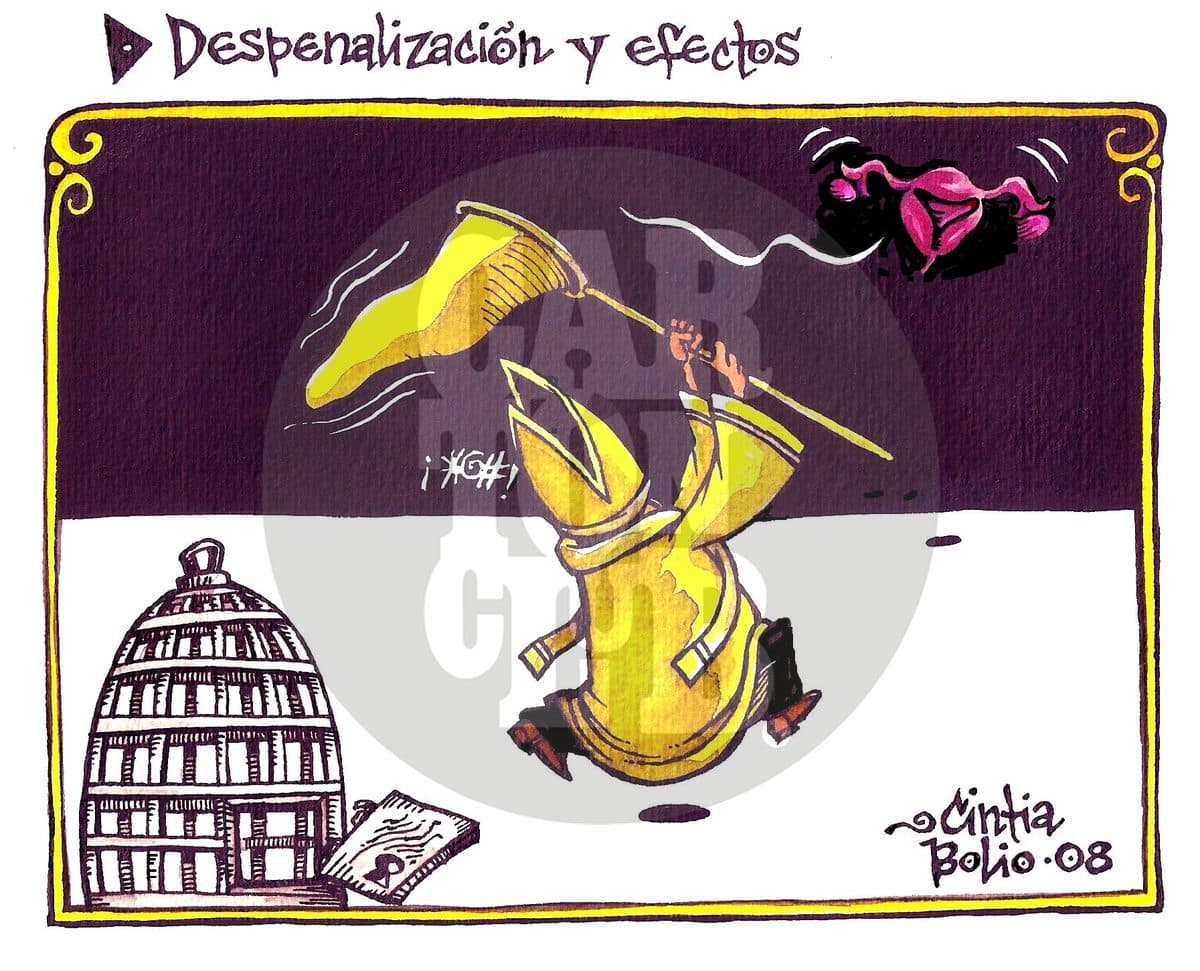 Despenalización y efectos, cartón de Cintia Bolio