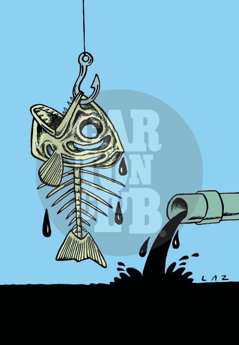 Ecosistema, cartón de Laz