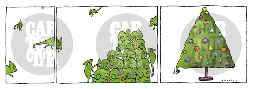 El arca de turcios 11