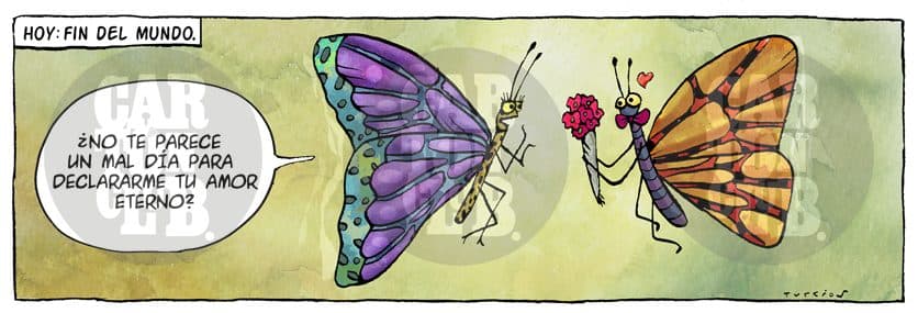 El arca de turcios 14