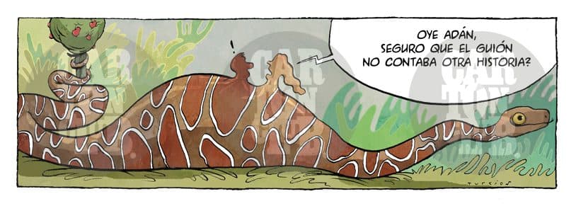El arca de turcios 29