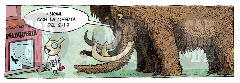 El arca de turcios 31