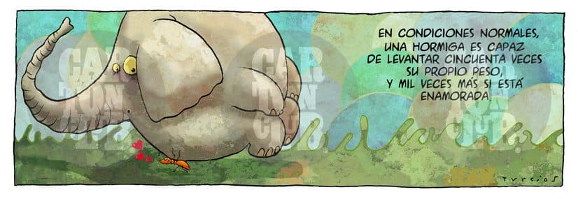 El arca de turcios 32, cartón de Turcios
