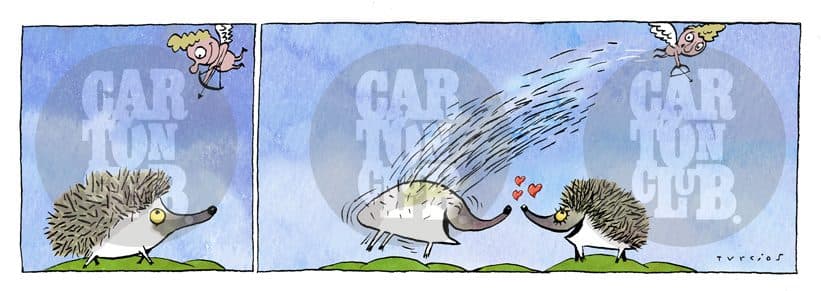 El arca de turcios 33, cartón de Turcios