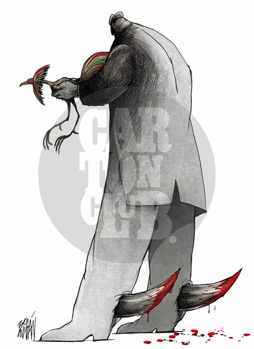 El gallo y las espuelas, cartón de Ángel Boligán