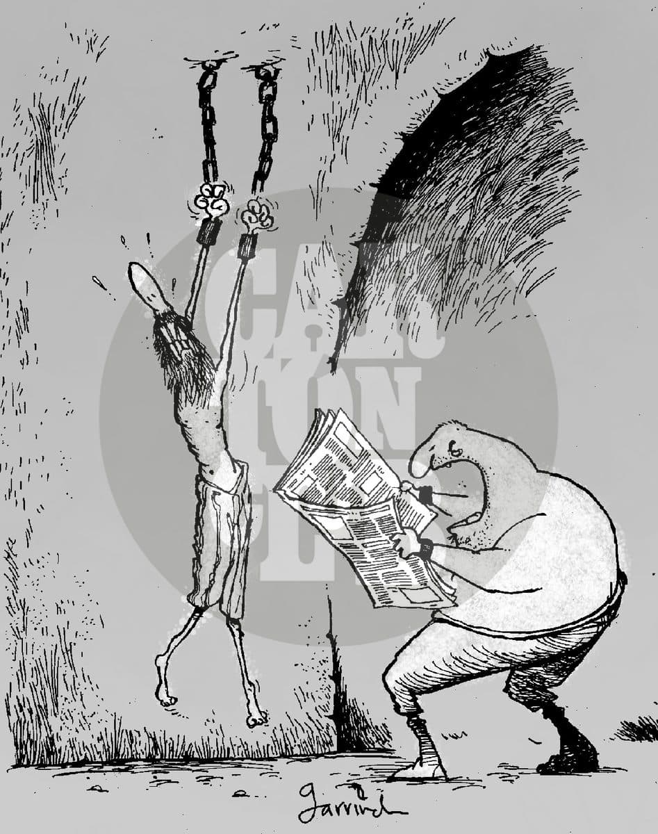 el papel de la prensa, cartón de Garrincha
