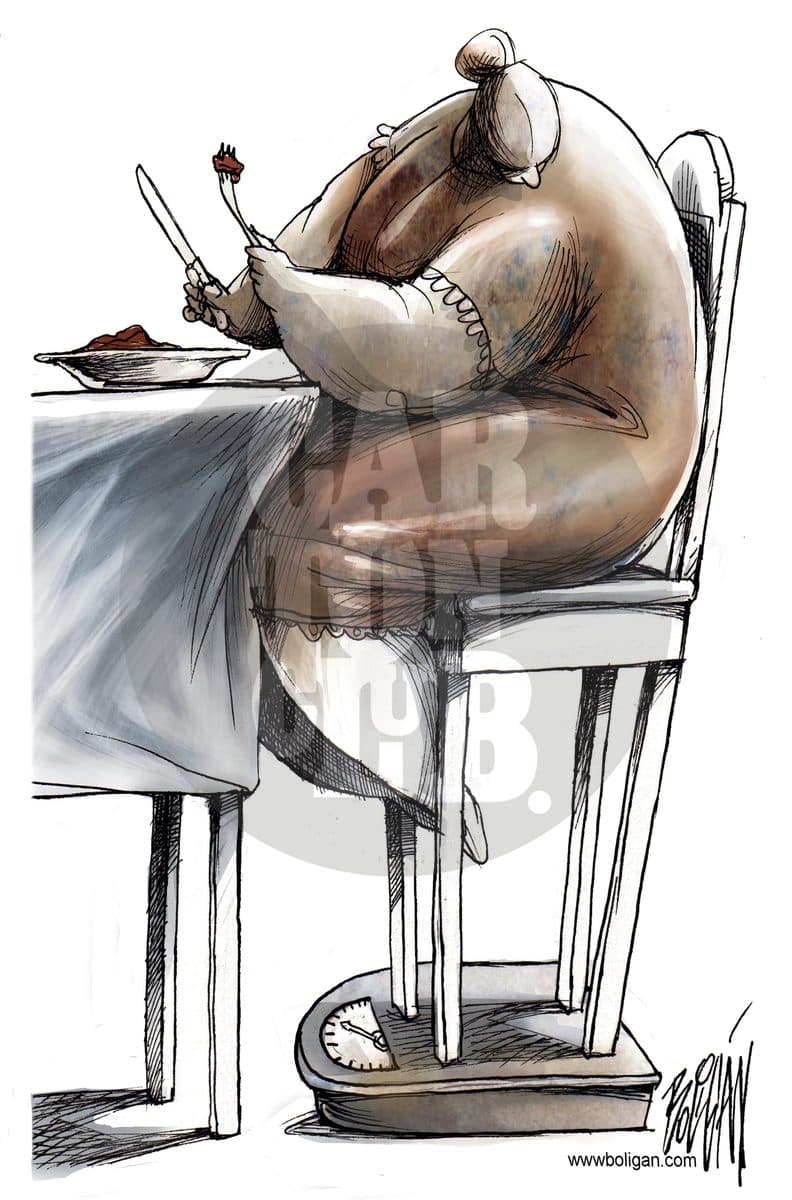 El proposito de cada año, cartón de Ángel Boligán