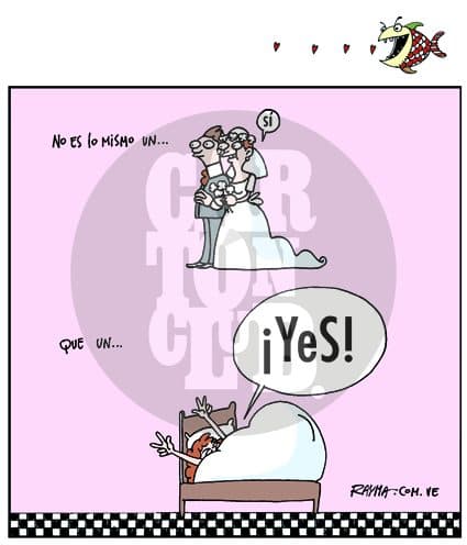 el si