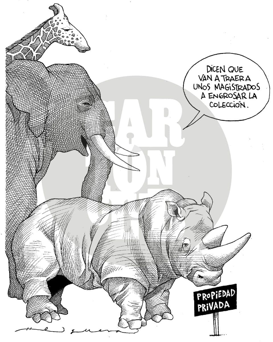 El zoologico de Hank
