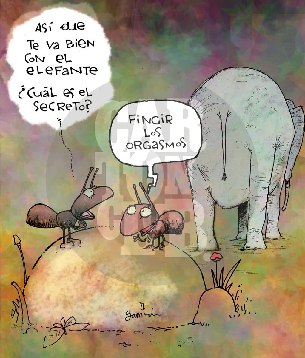 Elefante=hormiga