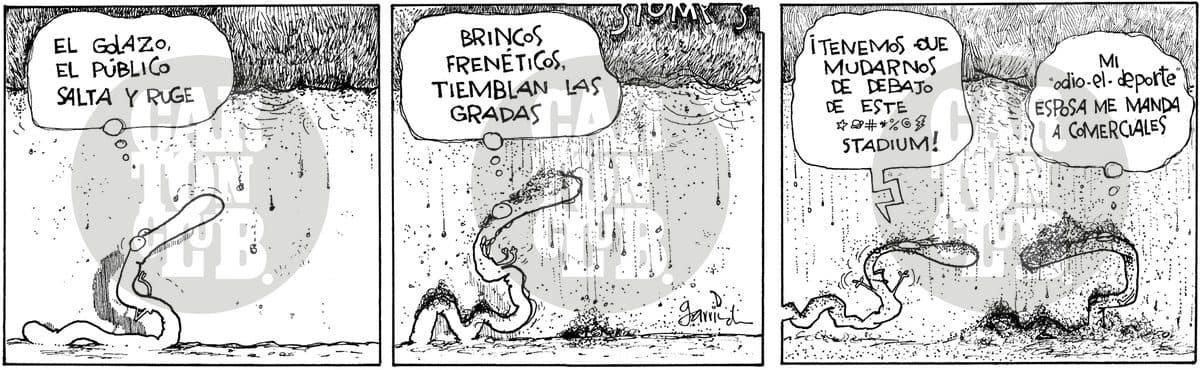 entendiendo el caos17