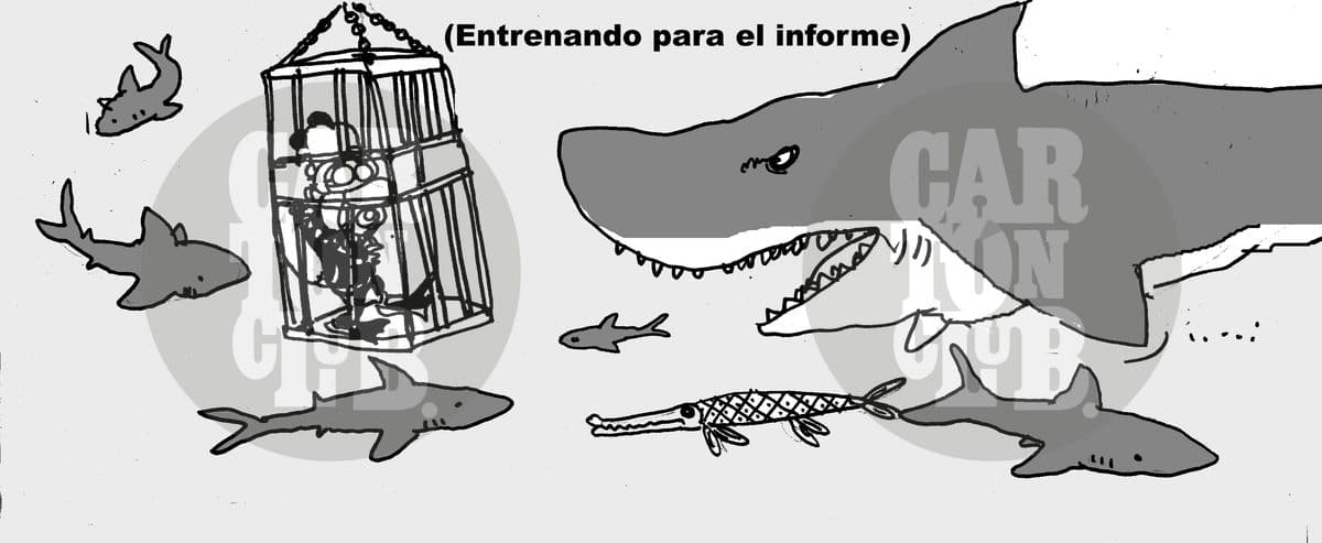 entrenando