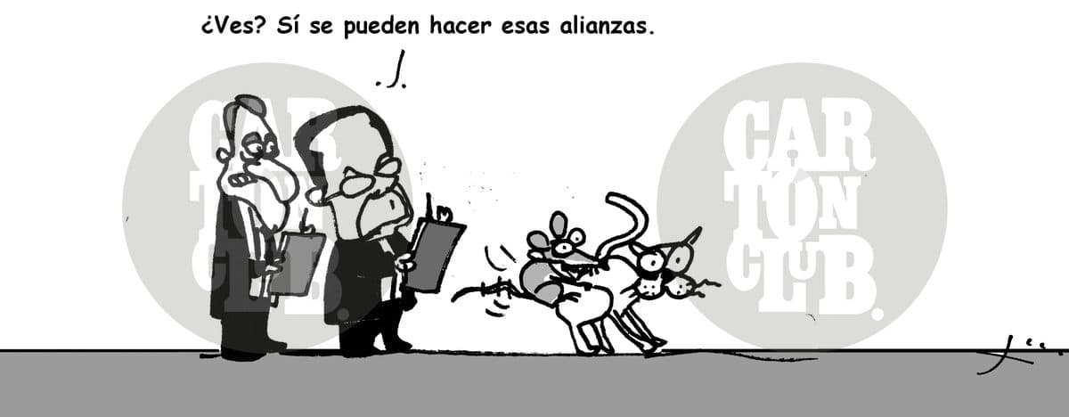 Experimentos