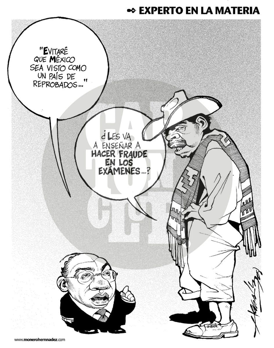 Experto en la materia