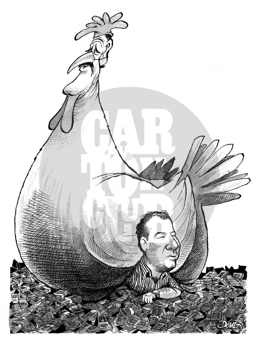 Gallo gallina