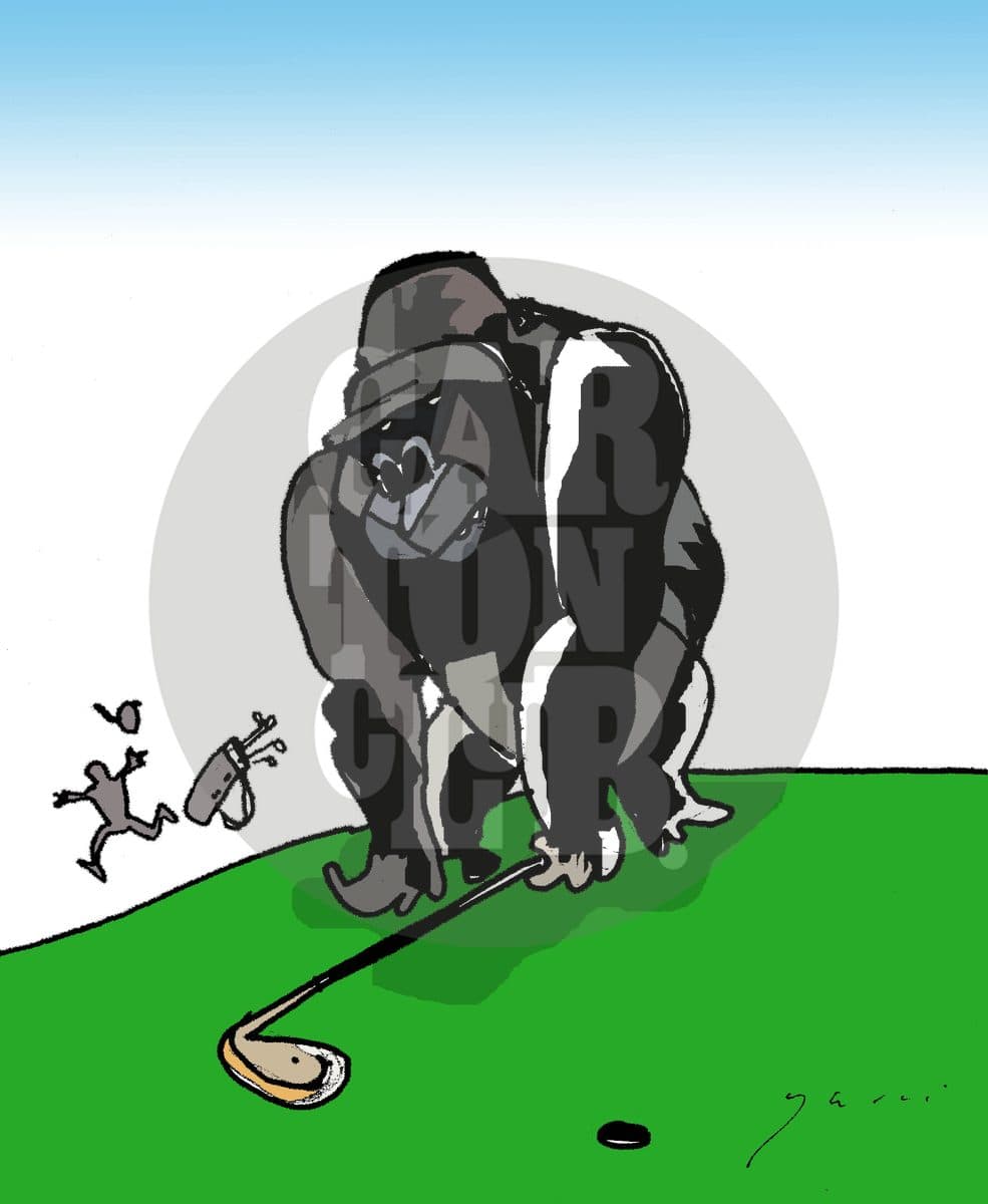 gorila, cartón de Garci