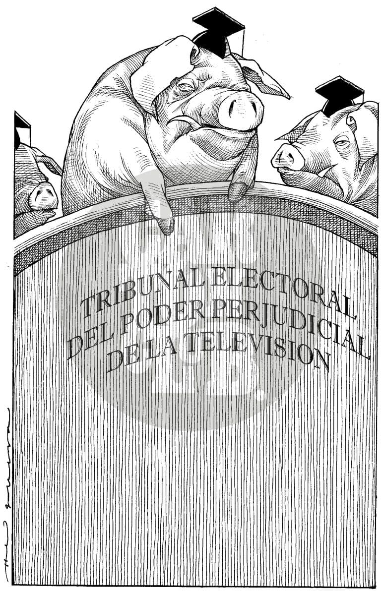 Tres cerdos con birrete se asoman sobre un muro que dice 'Tribunal Electoral del Poder Perjudicial de la Televisión', criticando la influencia de las televisoras sobre las instituciones electorales.